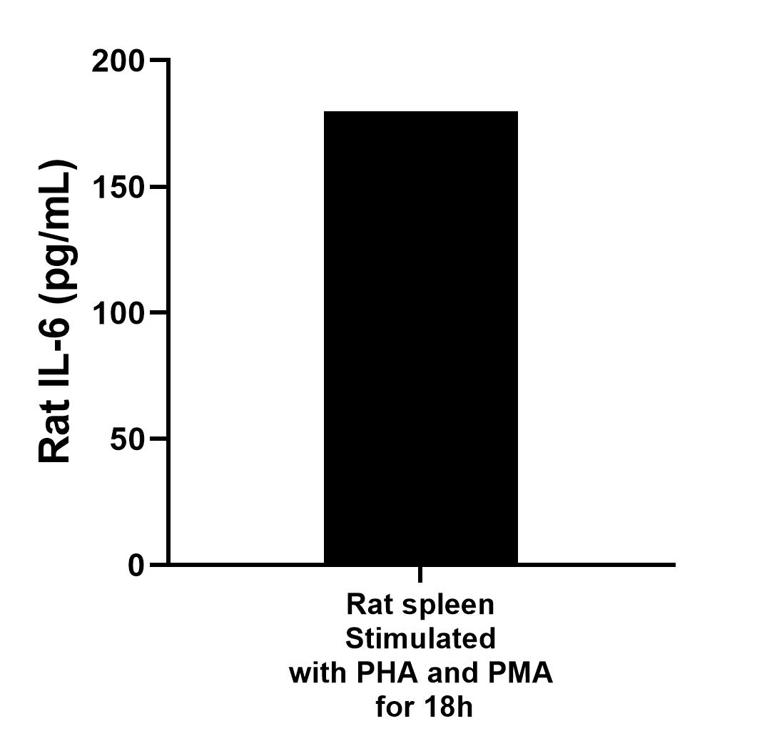 One rat spleen was cultured for 18 hours in RPMI 1640 supplemented with 10% fetal bovine serum, 50 μM β-mercaptoethanol, 2 mM L-glutamine, and 100 μg/mL of streptomycin sulfate. The cells were stimulated with 10 μg/mL of PHA and 10 ng/mL of PMA. An aliquot of the cell culture supernatant was removed, assayed for rat IL-6 and measured 179.7 pg/mL.